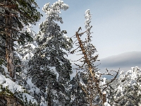 Parc national du Mont-Mégantic -Secteur de l'Observatoire